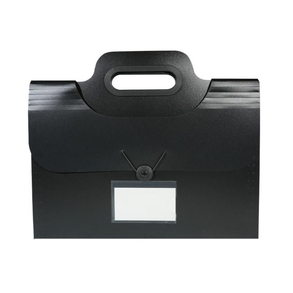 13 Pocket Expanded File Holder - đánh giá và giá Expandable Accordion File Folder 13 Pockets
